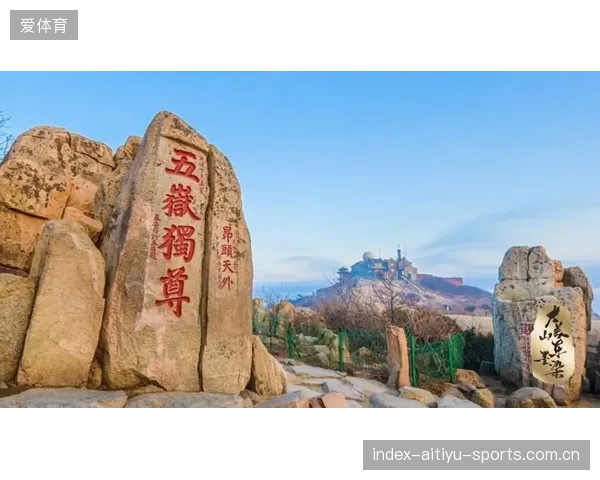 山东泰山外线的突破为禁区带来多次威胁